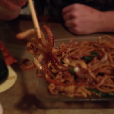 Spicy Udon with Calamari with a colossal calamari piece