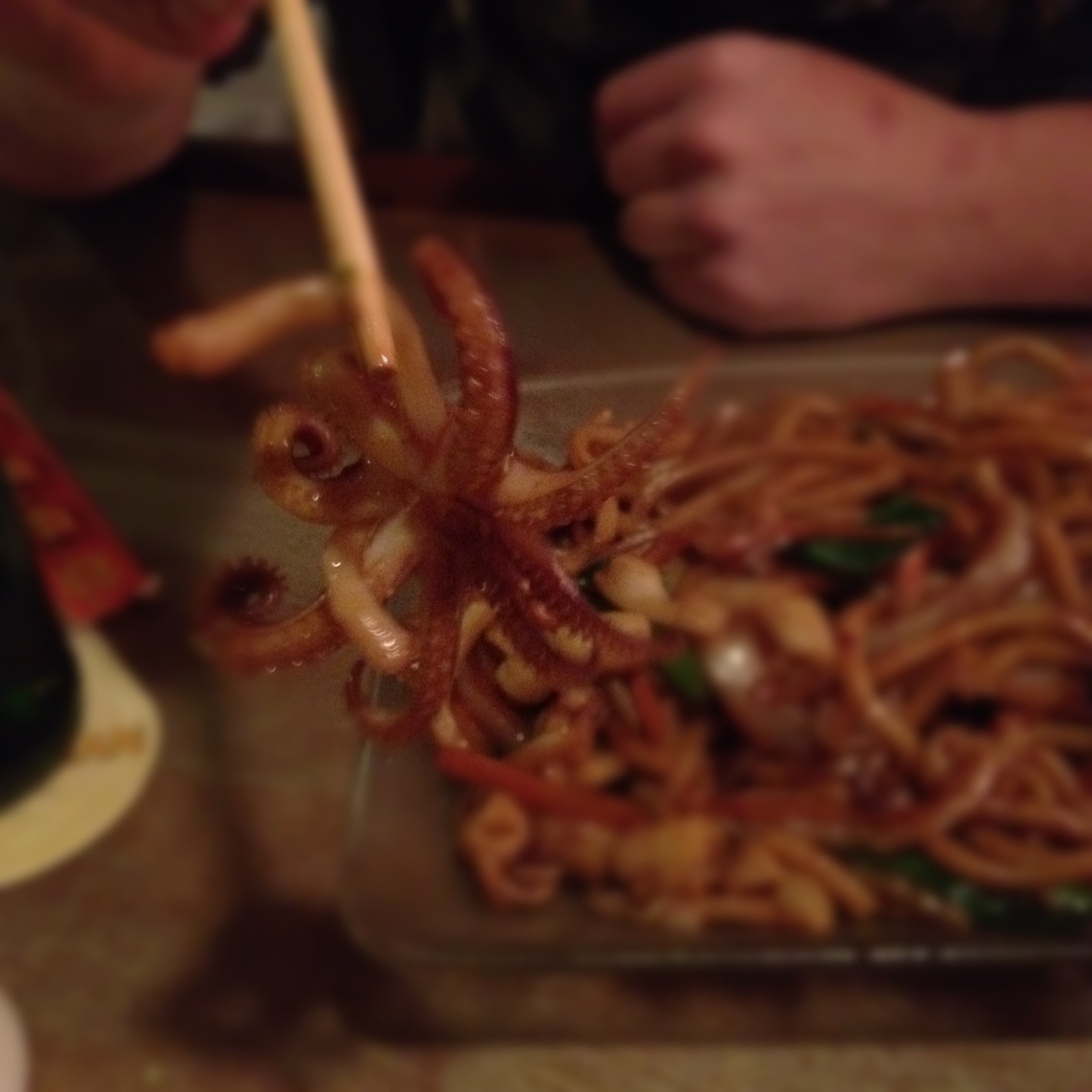 Spicy Udon with Calamari with a colossal calamari piece