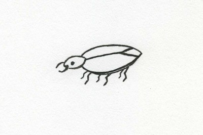 the Beetle