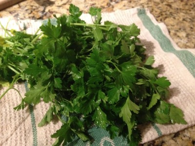 Parsley - washed and ready for picking