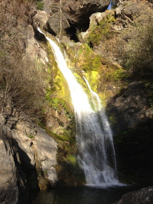 Salmon Cove waterfall