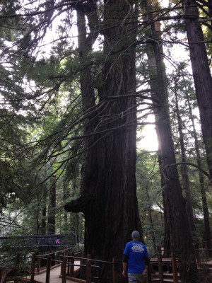 Mike heading into the big woods