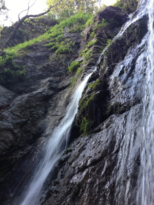 Pfeiffer Falls