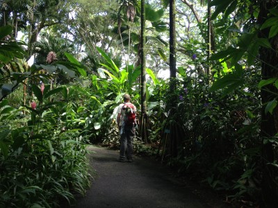 Mike strolling through the gardens.