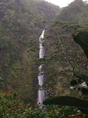 Trail view of Akaka Falls