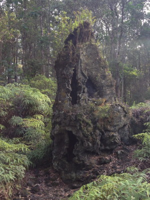 A lava mold in Lava Tree State Monument