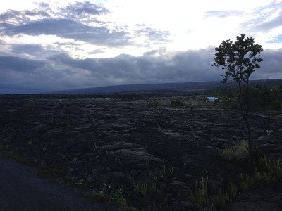 Kalapana lava fields