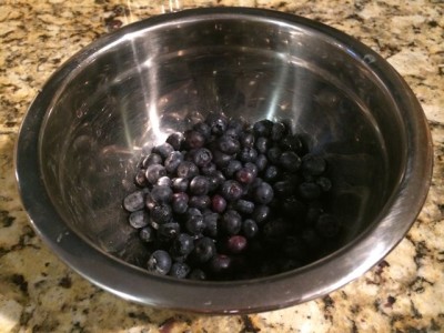 Mmmmmm....blueberries.