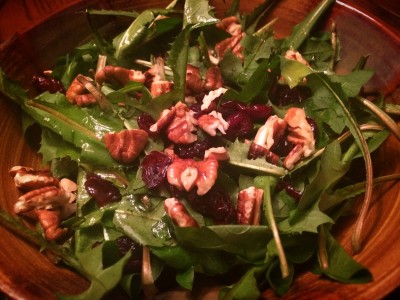 A Dandelion Salad - with roasted pecans, dried cranberries, and lemon dressing.